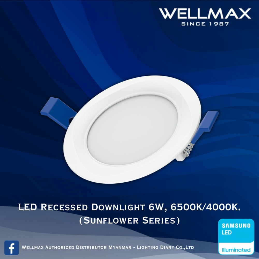 Wellmax Sunflower Series LED Recess Round Downlight 6500K 6W L-DL-0120(R)