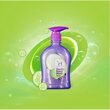 Herballines Cucumber Floral Gentle Hand Wash 500ML (Violet)