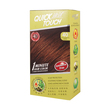 Quick Touch 1 Minute Hair Color (40 Medium Brown)