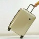 It Luggage Confide Sandy Carbon Effect Small