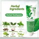 Beauty House D.dent Herbal Toothpaste