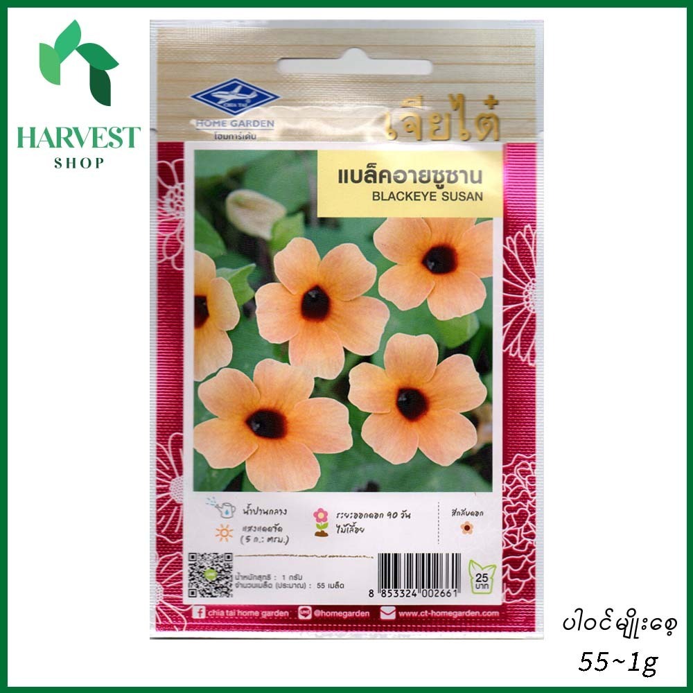 Harvest Shop Black Eye Susan Seeds HF 037