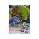 I & Elephant Sin Phyu Taw (Swe Min)