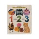 Pre School Numbers Book