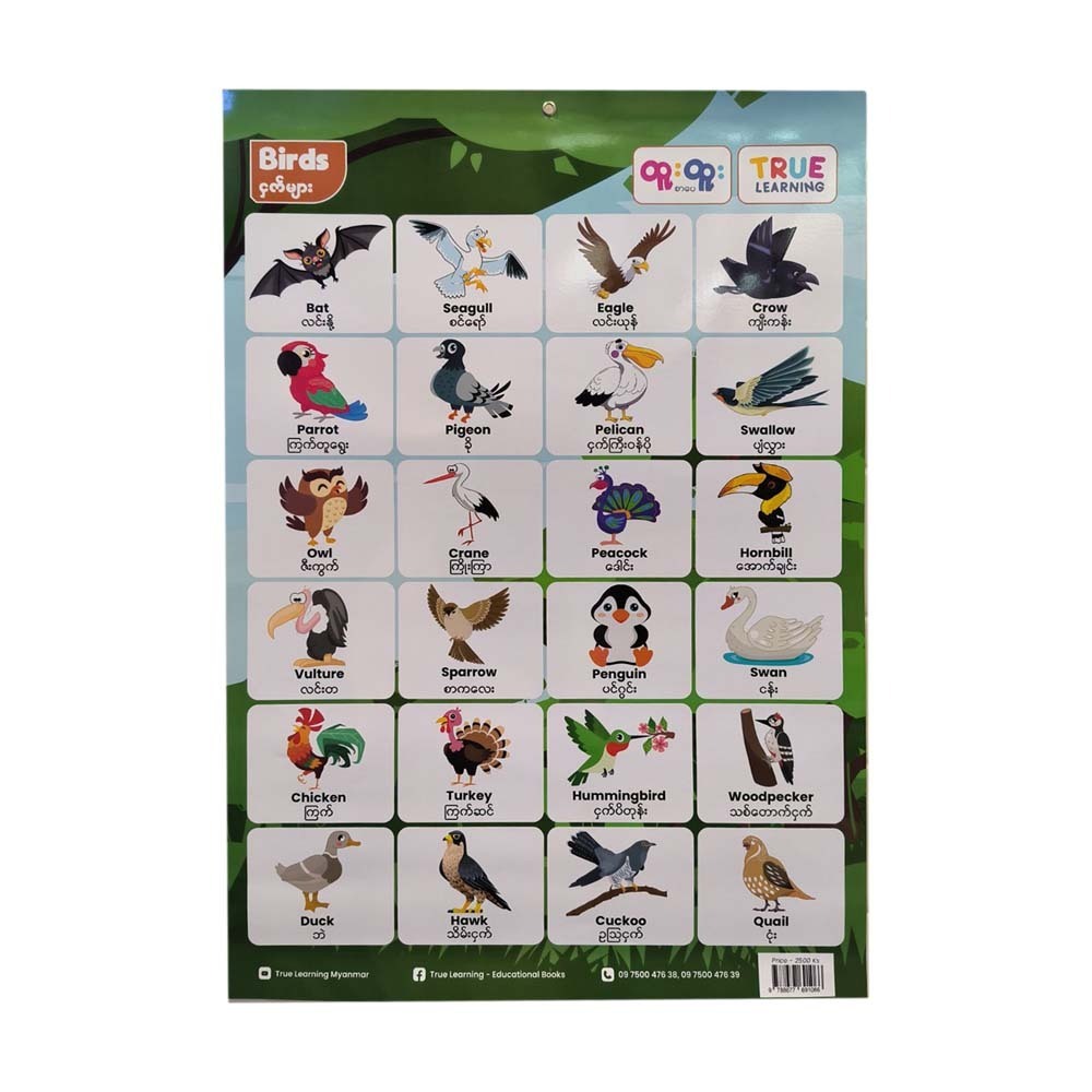 BIRDS POSTER (TRUE LEARNING)