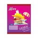 AOK (Gray) 2 Line Book 70 GSM 72 Pages White (12PCS)