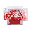 FG CNY Hanging Set (Dragon)