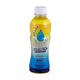 Ion Plus Electrolyte Sugar Free 250ML