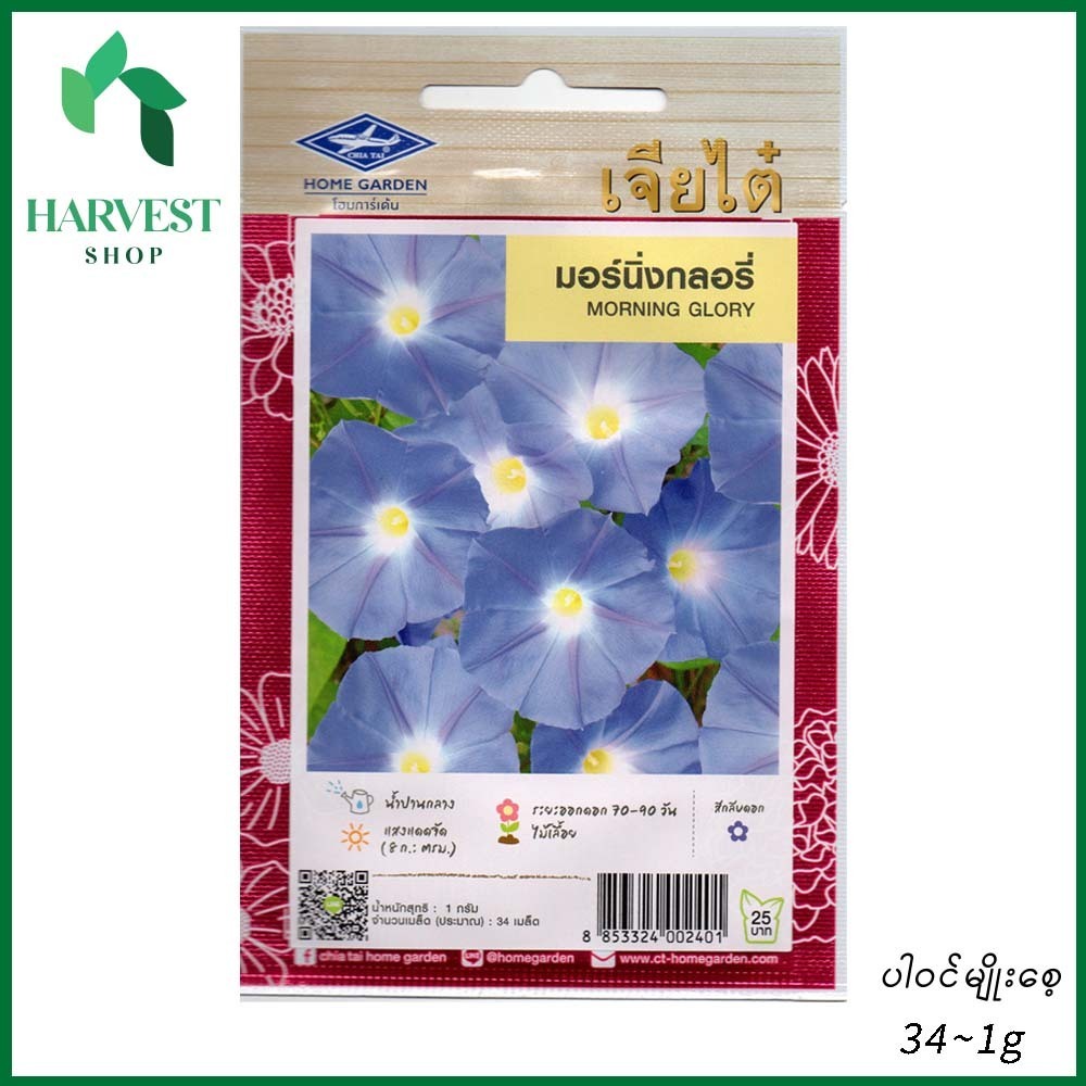 Harvest Shop ကန်စွန်းပန်းမျိုးစေ့ HF 019