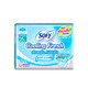 Sofy Cooling Fresh Wing Day Sanitary Napkin Pads 25cm 10PCS