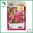 Harvest Shop ဇော်မွှားလေးပန်းမျိုးစေ့ HF 030
