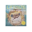 Lifesize Ocean Animals