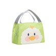 Thermal Lunch Box Bag Green