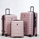 It Luggage Heighten Pale Mauve Small