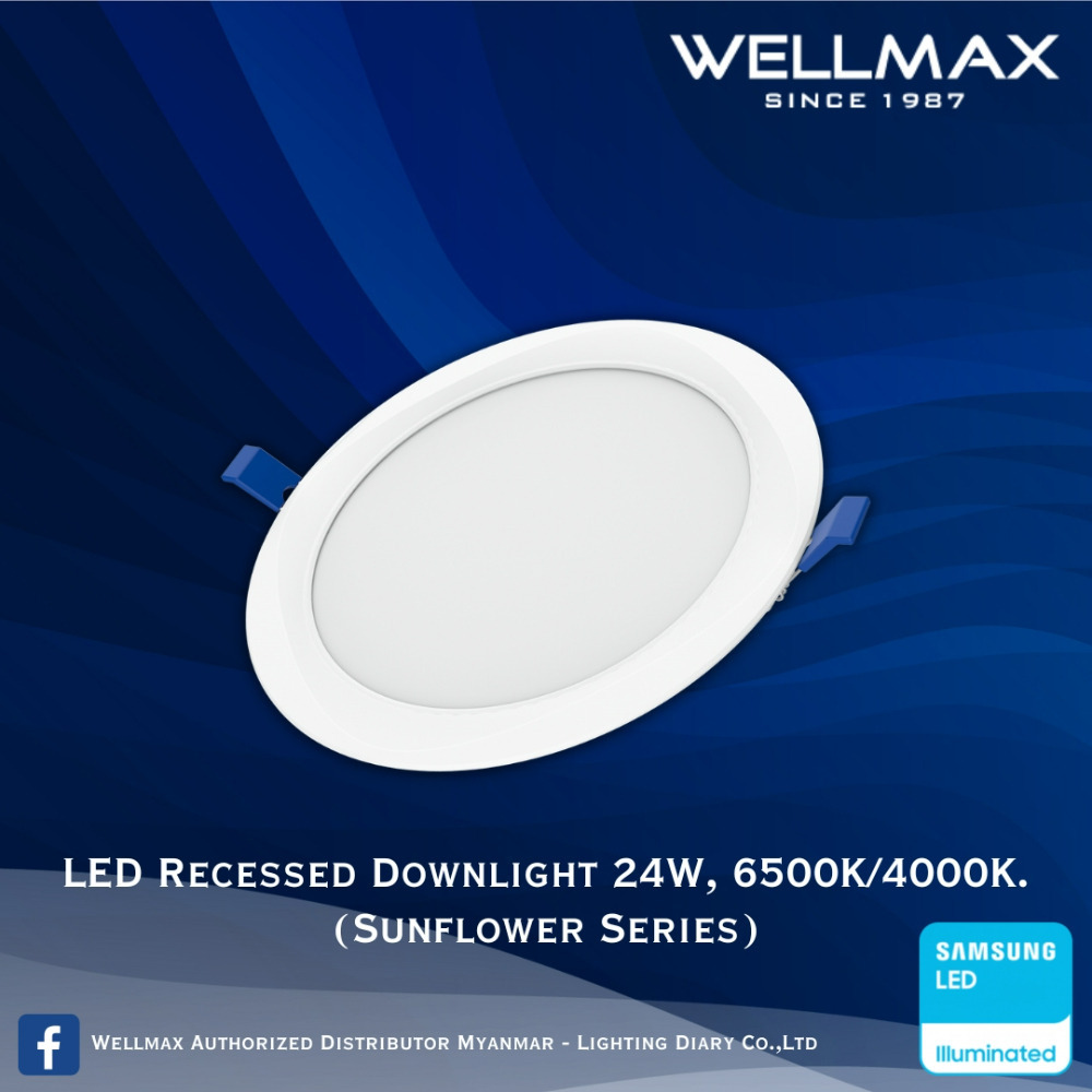 Wellmax Sunflower Series LED Recess Round Downlight 6500K 24W L-DL-0120(R)