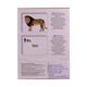 Baby's  Animal Wild Cards