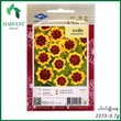 Harvest Shop ကျားမျက်လုံးစိန်ခြယ်မျိုးစေ့ HF 022
