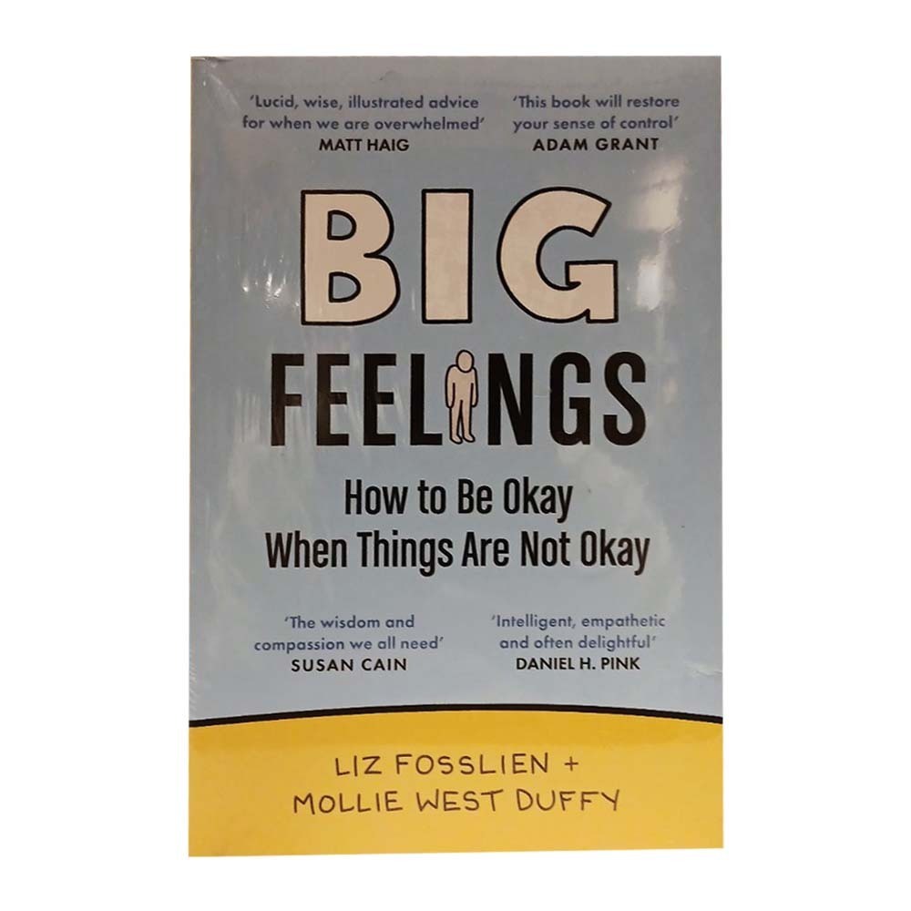 Big Feelings How To Be Okay When Things