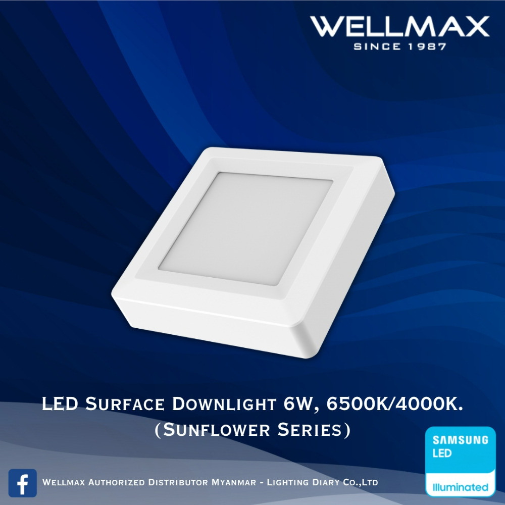 Wellmax Sunflower Series LED Surface Square Downlight 6500K 6W L-DL-0221(S)