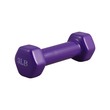 Dumbbell 3LB (Fiber)