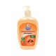 Excel Care Champion Anti-Bacteria Hand Wash 500ML (Papaya)