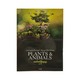 Plants & Animals-မောင်တင်ဦး (ရုက္ခ)