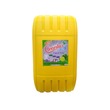 Cleanlux Liquid Soap 18L (Green)