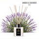 Royal Scent Reed Diffuser Amber & Lavender 50ML