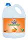 Excel Care Active Guardian Anti-Bacteria Hand Wash 5L Lemon (Orange Colour Lemon Frangrance)