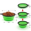 Gue Pet Travel Bowl Green