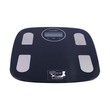Camry Bathroom Scale EF872