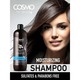 Cosmo Coconut Milk Moisturizing Shampoo 480ML