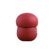 Novo Little Pine Lip Mud New (557)