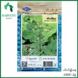 Harvest Shop ဟင်းဂလာမျိုးစေ့ LF 023