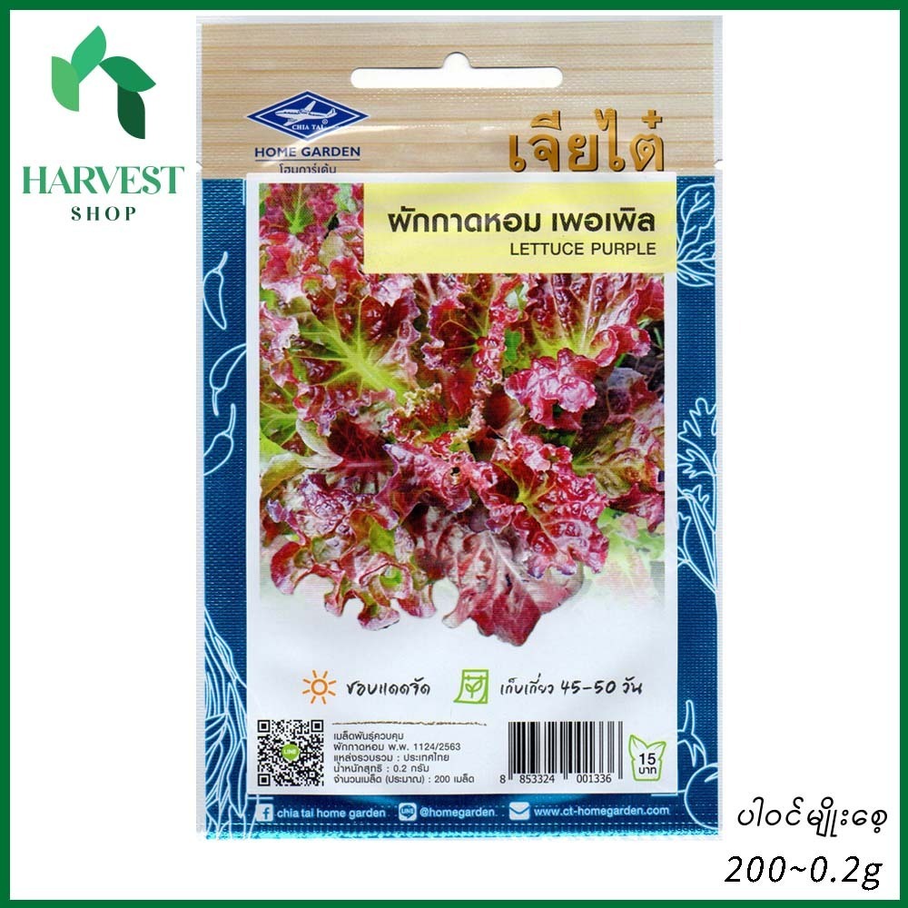 Harvest Shop ခရမ်းရောင်ဆလတ်ရွက်မျိုးစေ့ LF 034