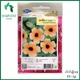 Harvest Shop Black Eye Susan Seeds HF 037