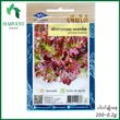 Harvest Shop ခရမ်းရောင်ဆလတ်ရွက်မျိုးစေ့ LF 034