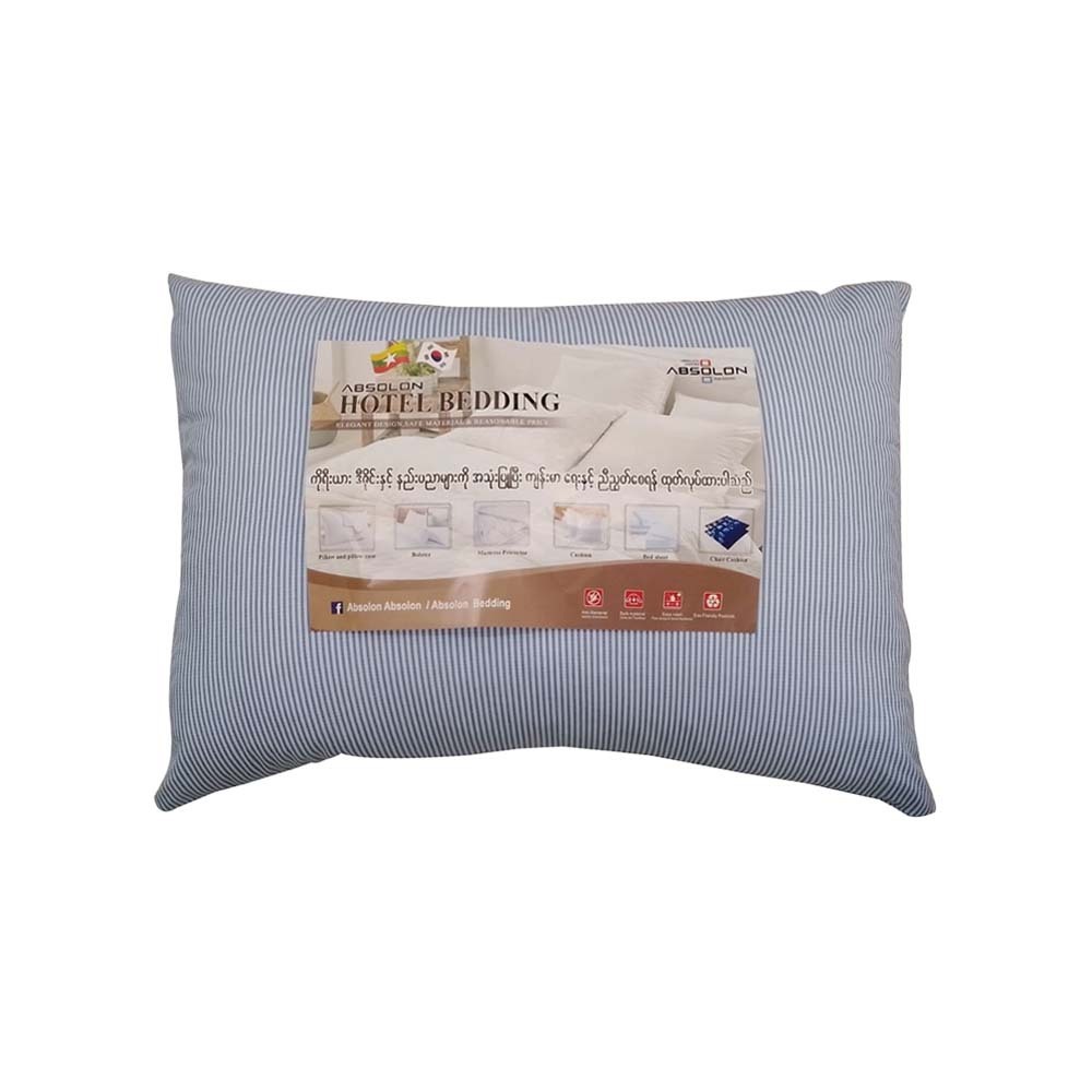 My Absolon Eco Silicon Pillow 18 x 24in