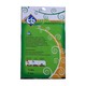 66 Chinese Celery Seed 2G