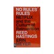 Netflix And The Culture Of Reinvention
