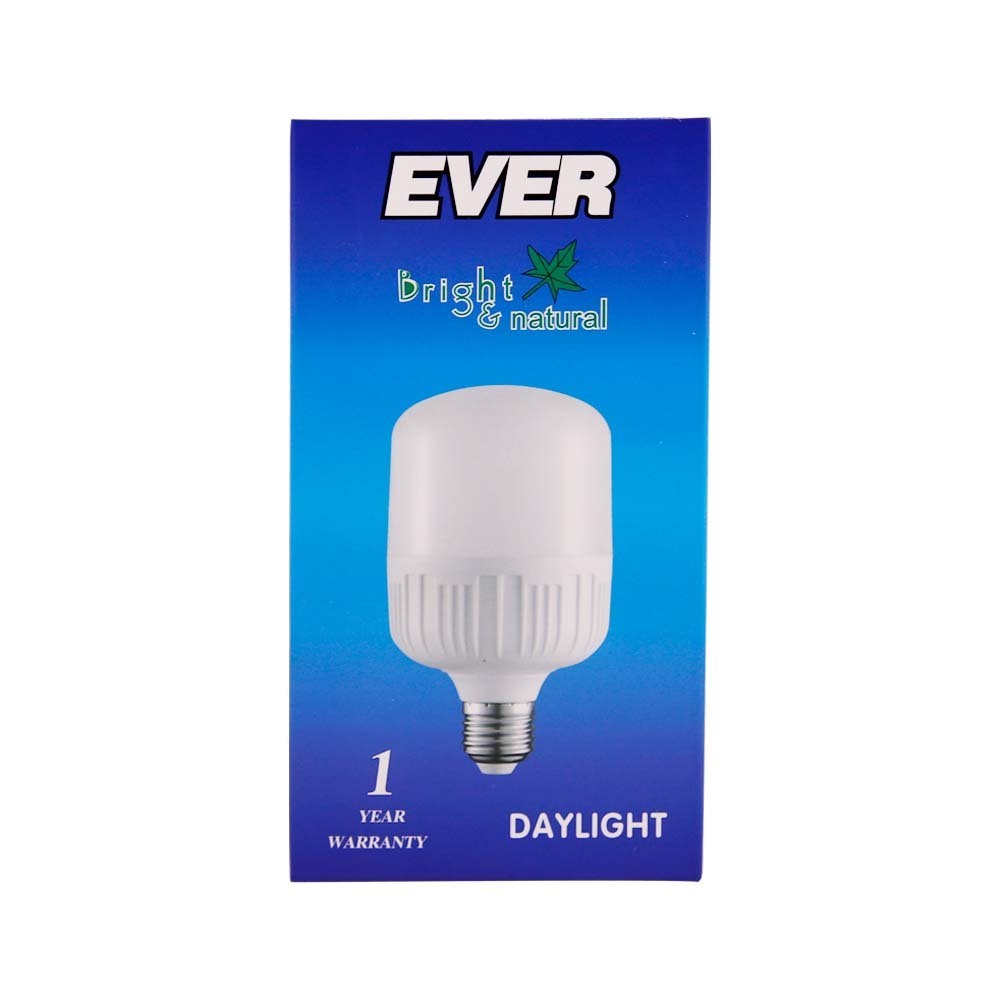 Ever Daylight Bulb 20W B22 (Pin)