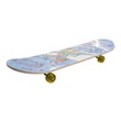 Snb Skate Board No.3108