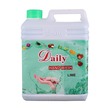 Daily Hand Wash Lime 2L