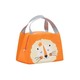 Thermal Lunch Box Bag Orange
