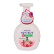 Kirei Kirei Antibacterial Family Foaming Hand Soap 250ML