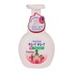 Kirei Kirei Antibacterial Family Foaming Hand Soap 250ML