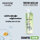 Pantene Micellar Detox & Moisturize Scalp Shampoo 530ML