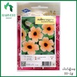 Harvest Shop Black Eye Susan Seeds HF 037