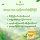 Beautea Cardamom Green Tea 100G