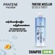 Pantene Micellar Detox & Purify Scalp Shampoo 530ML
